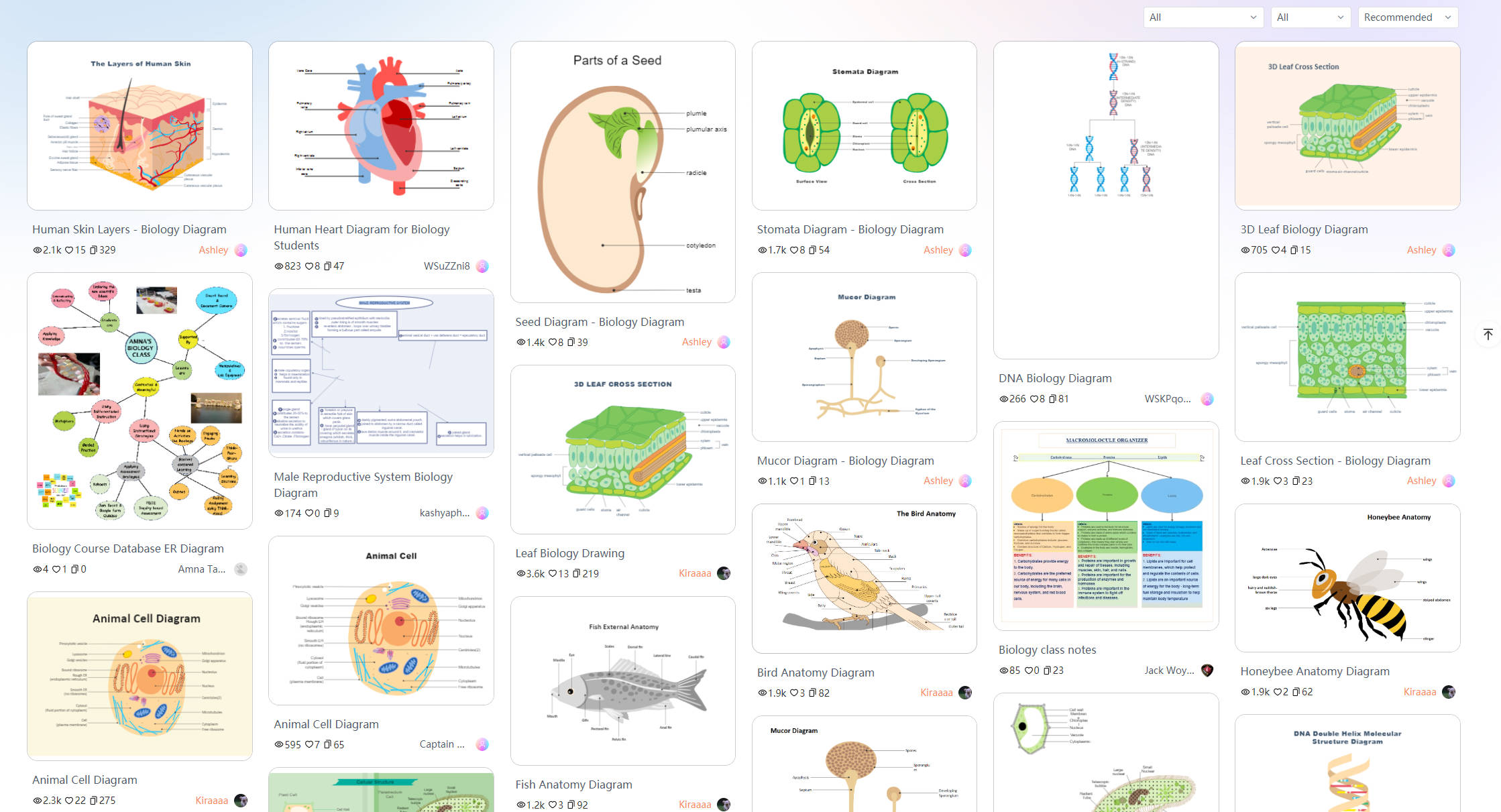 Illustration-showing-four-levels-of-protein-structure