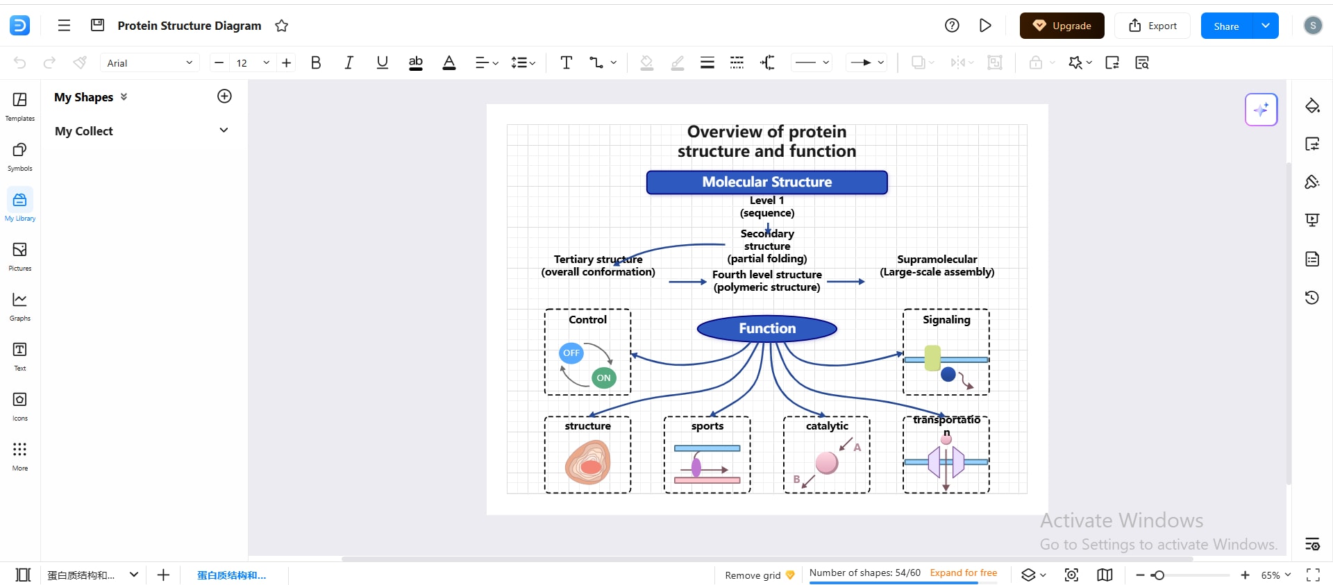 Illustration-showing-four-levels-of-protein-structure