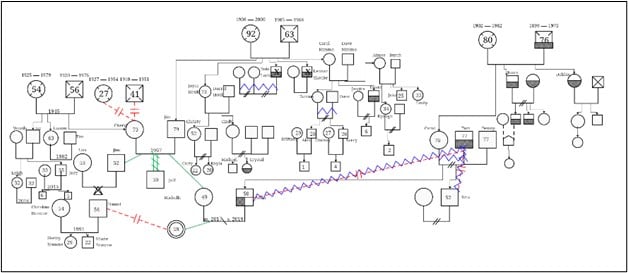complex family genogram template