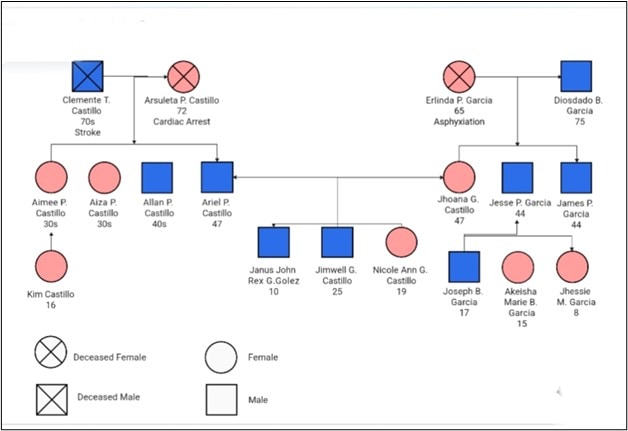 simple family history genogram