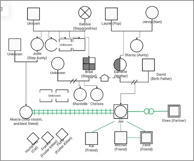 social connection genogram template