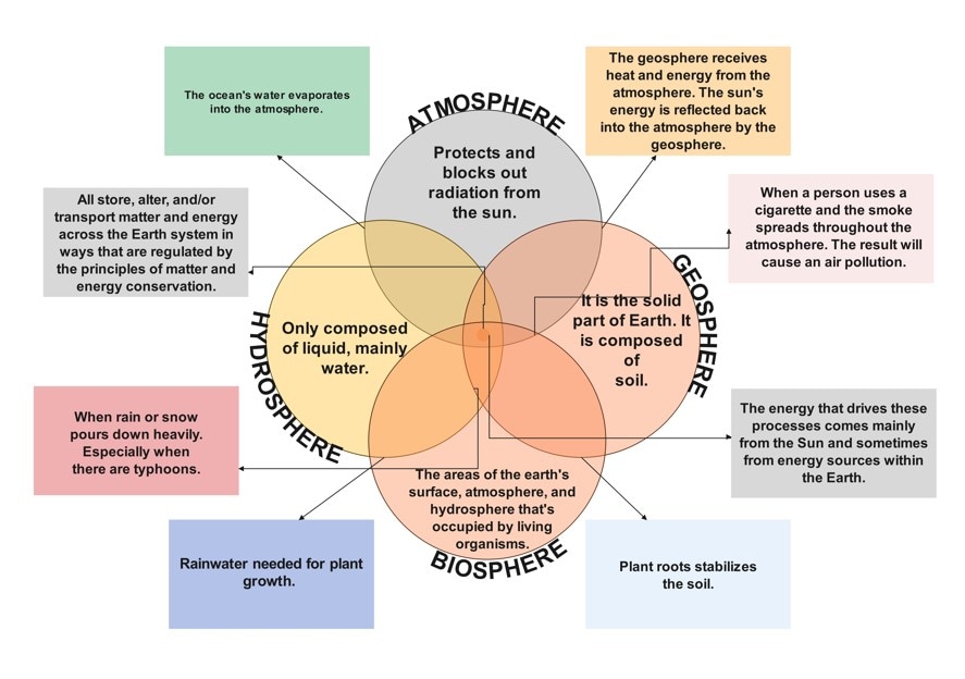 4 set venn diagram