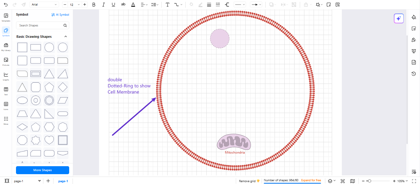 Diagram Creation-Drawing the host cell components like membrane, nucleus, and mitochondria