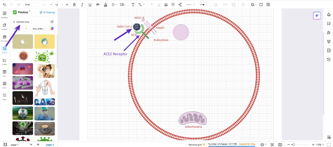 Virus Illustration-Drawing the virus structure and labeling its receptor