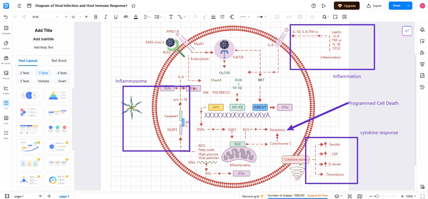 Immune Response Diagram-Drawing immune response components and pathways