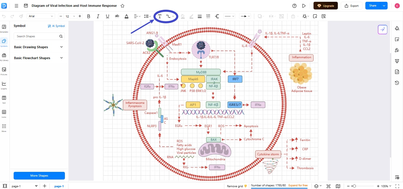 Diagram Annotation-Adding educational annotations to the viral infection diagram