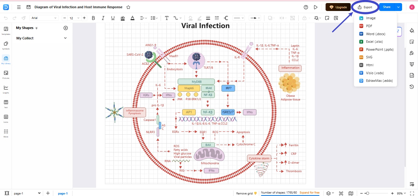 Export Diagram-Screenshot of exporting the viral infection diagram from EdrawMax