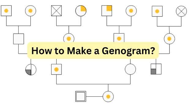 how to make a genogram