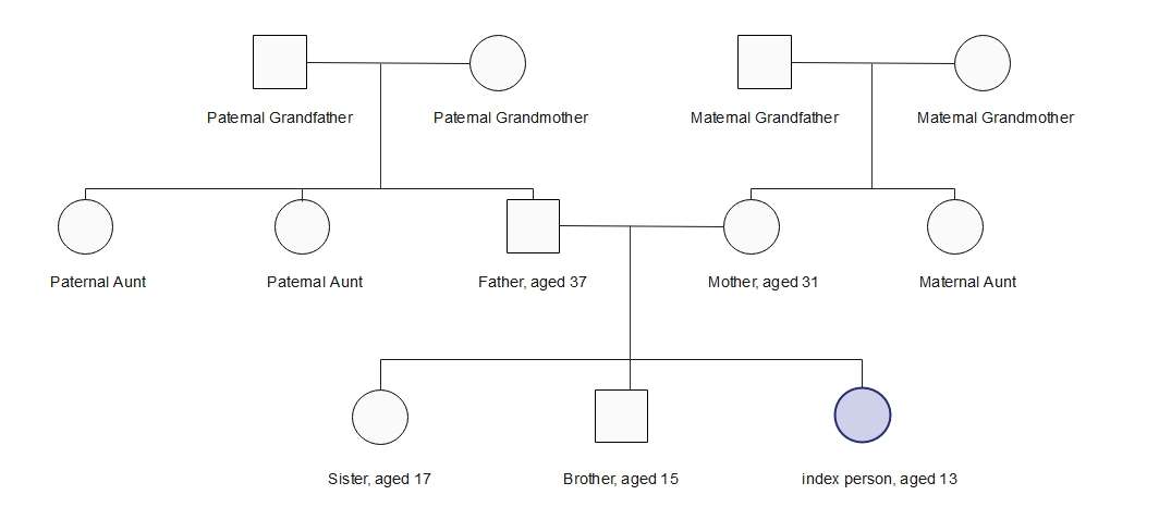 relationships genogram
