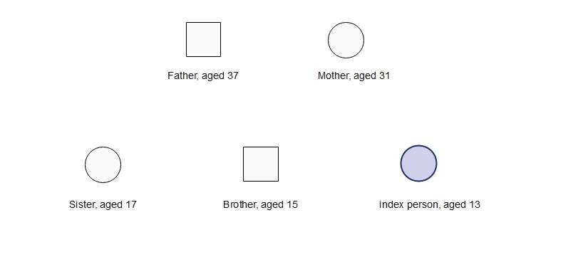 siblings genogram