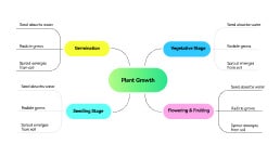 Plant Growth Mind Map