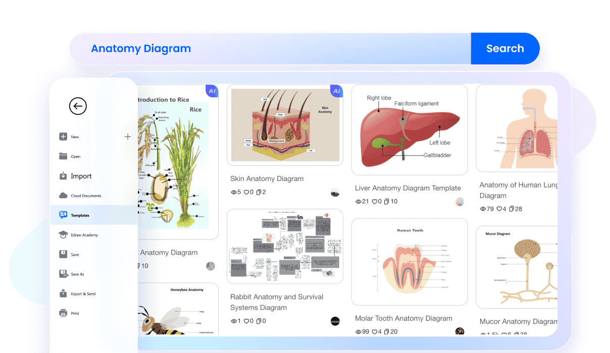 edrawmax anatomy diagram templates