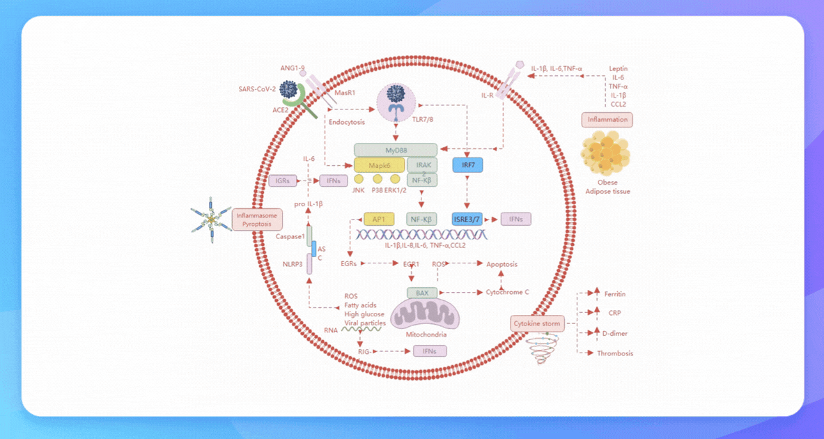 banner image of edrawmax
