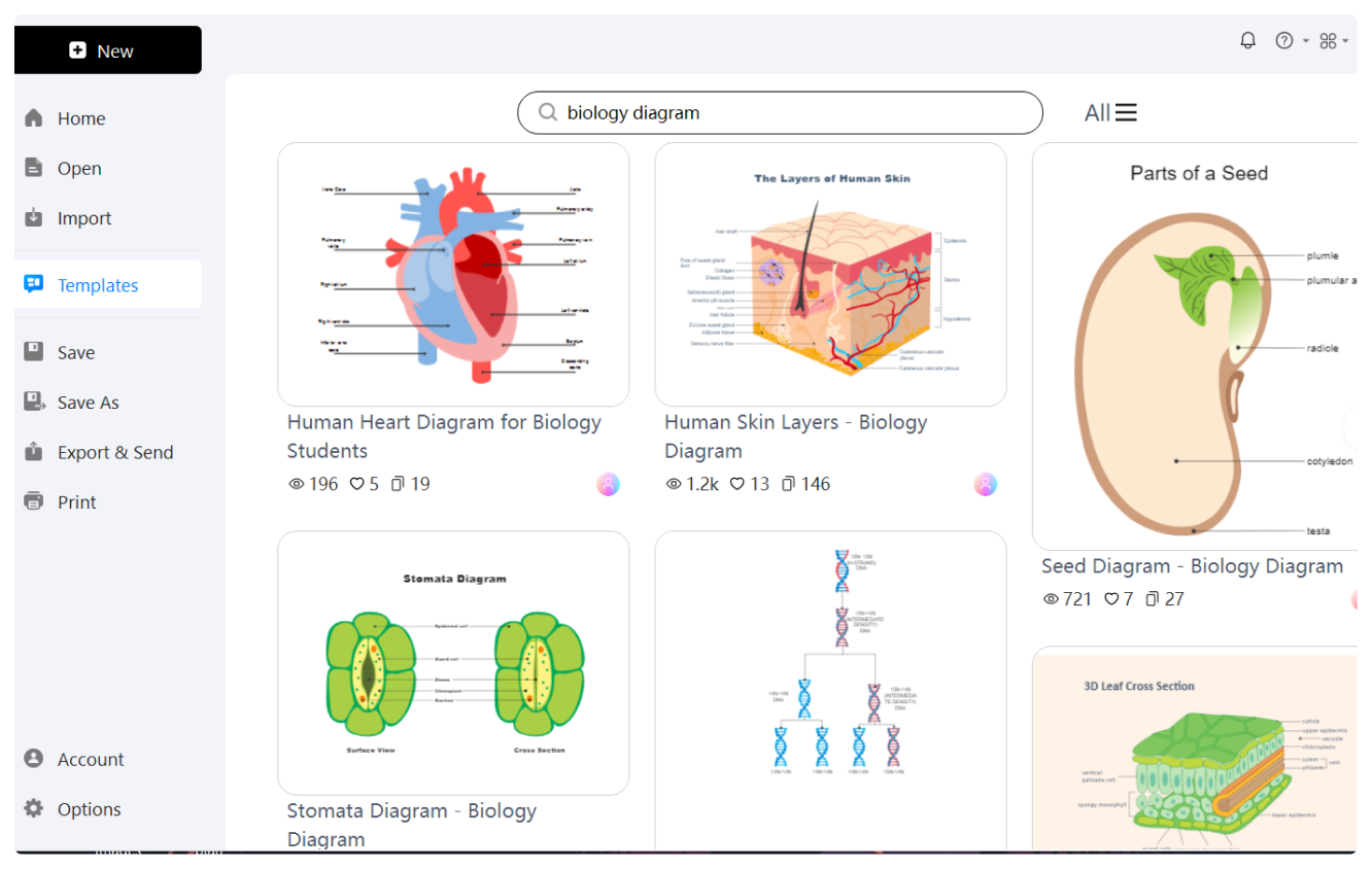 biology diagram templates