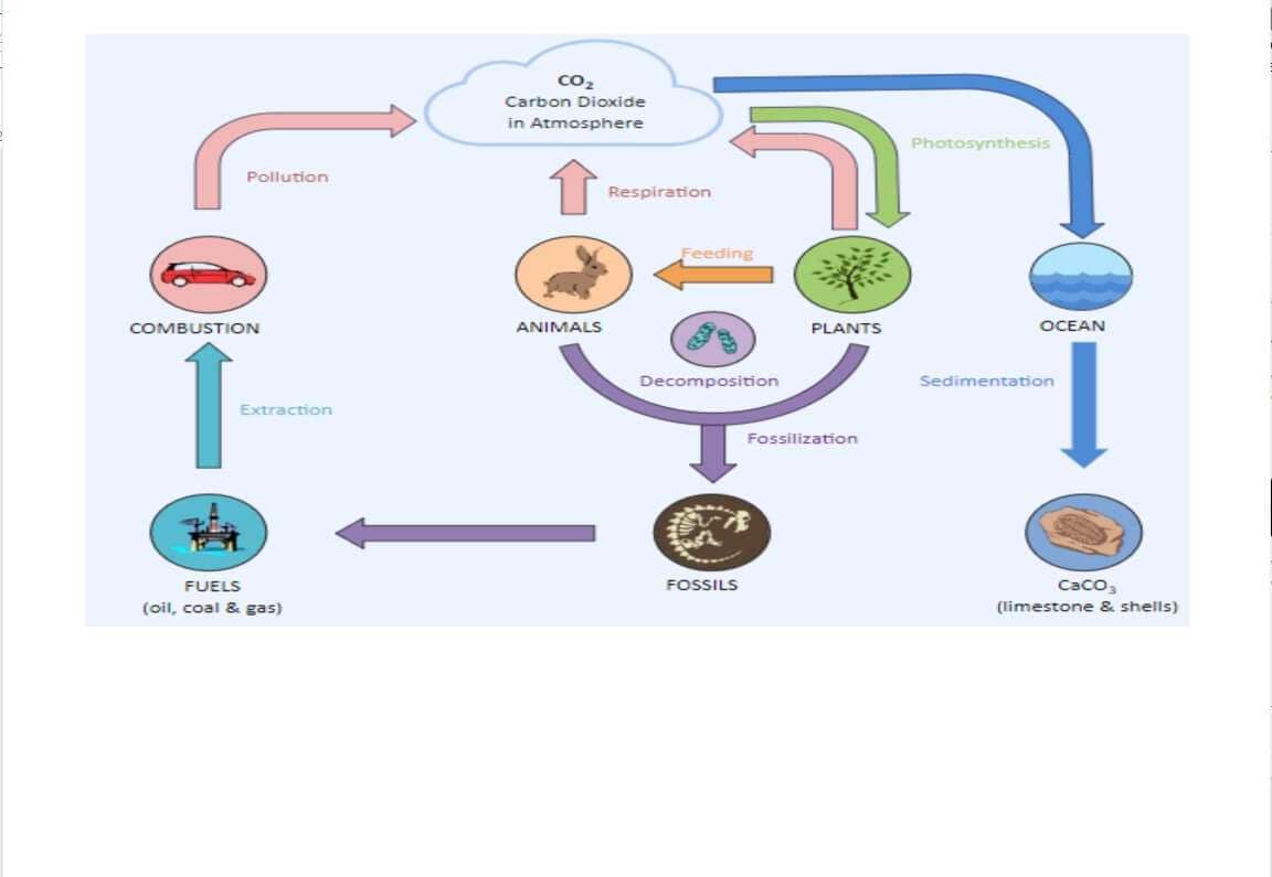 ejemplo diagramas científicos 4