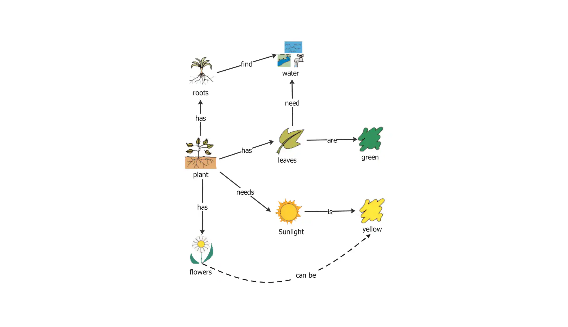 basic plant biology concept map example