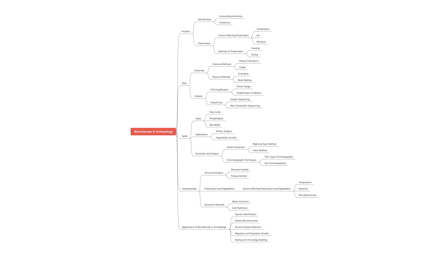 biomolecules concept map example
