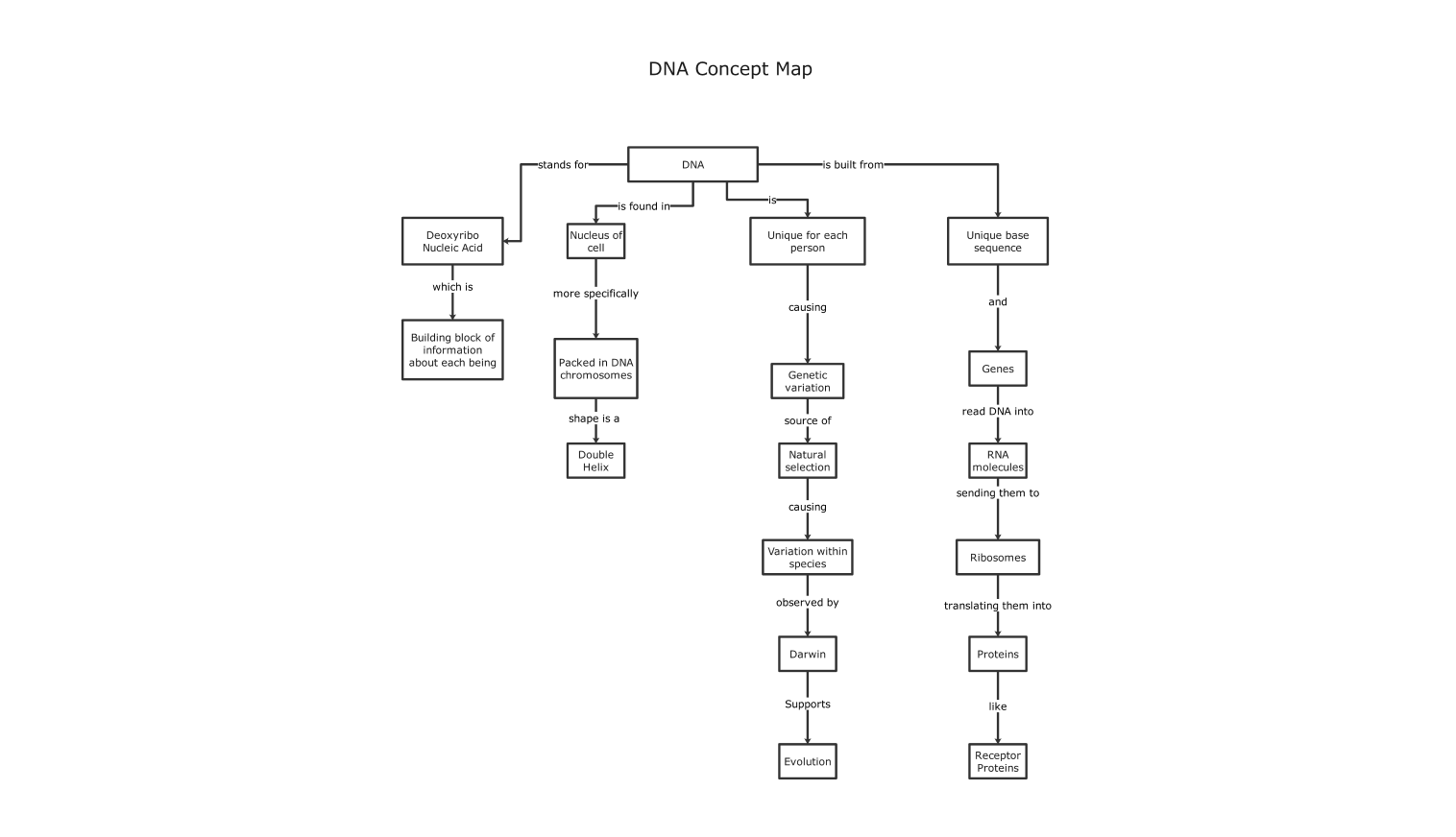 dna concept map example