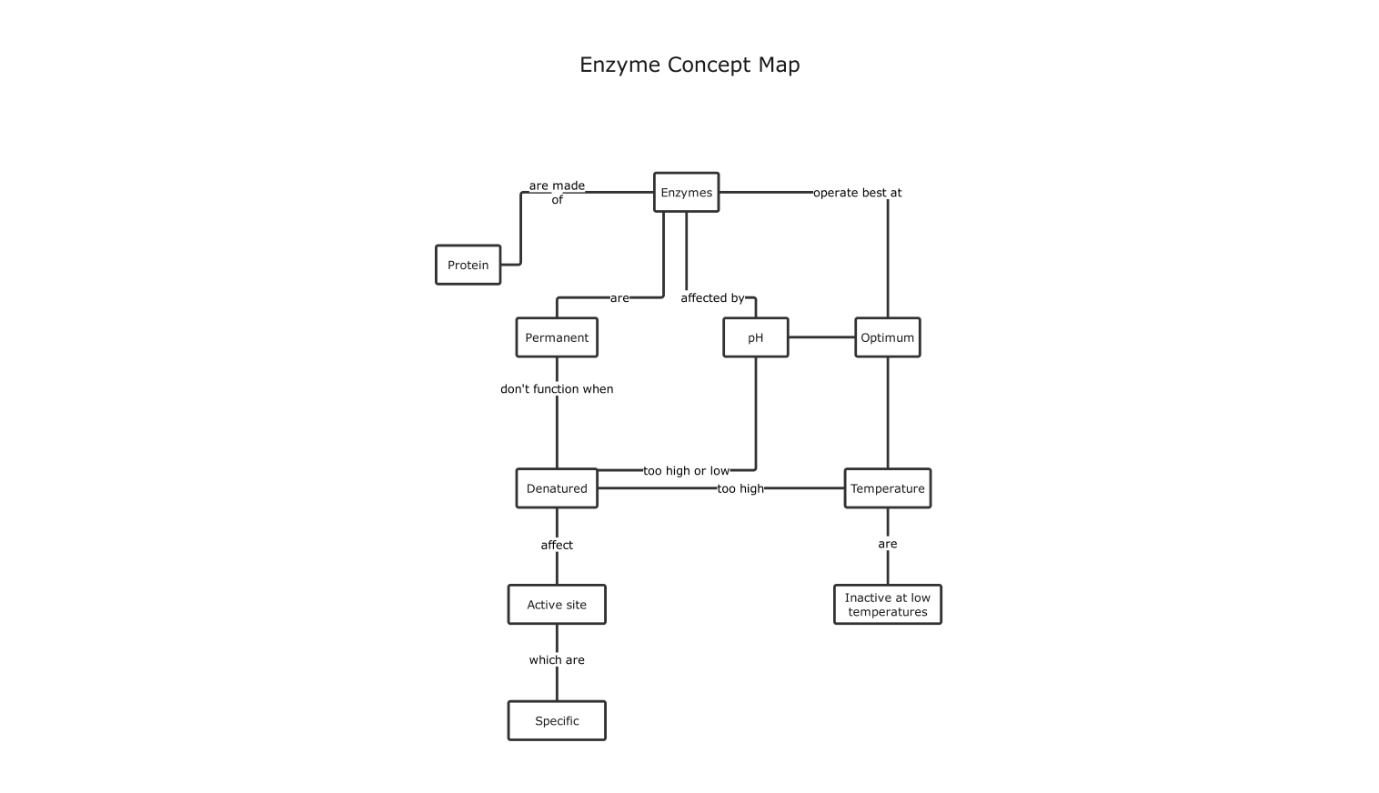 enzyme concept map example