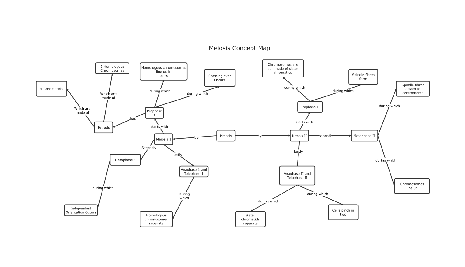 Meiosis concept map example