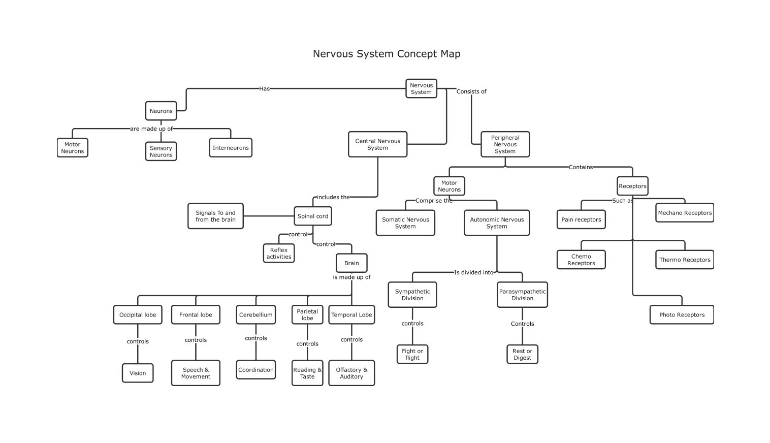 Nervous system concept map example