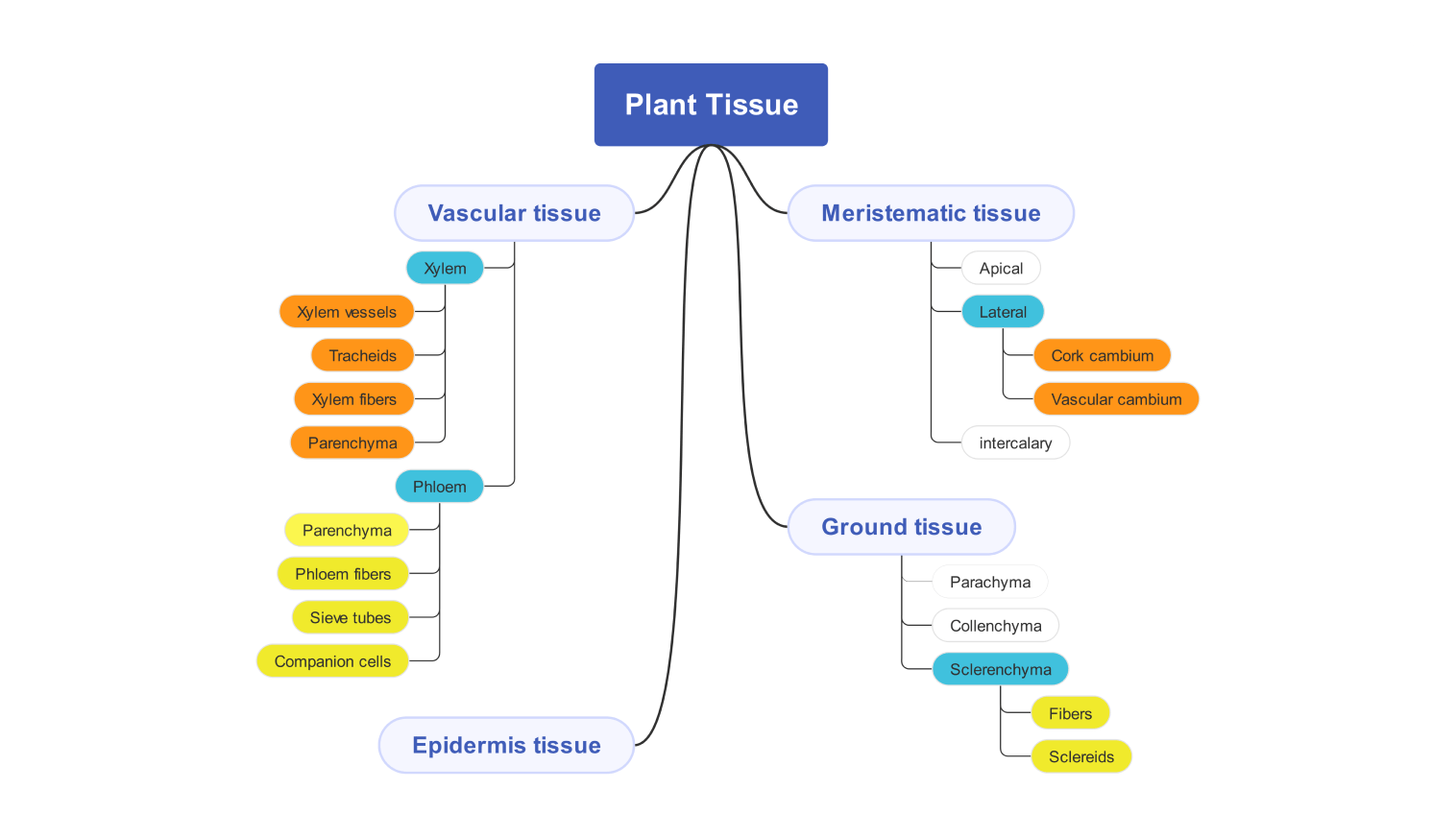basic plant biology concept map example