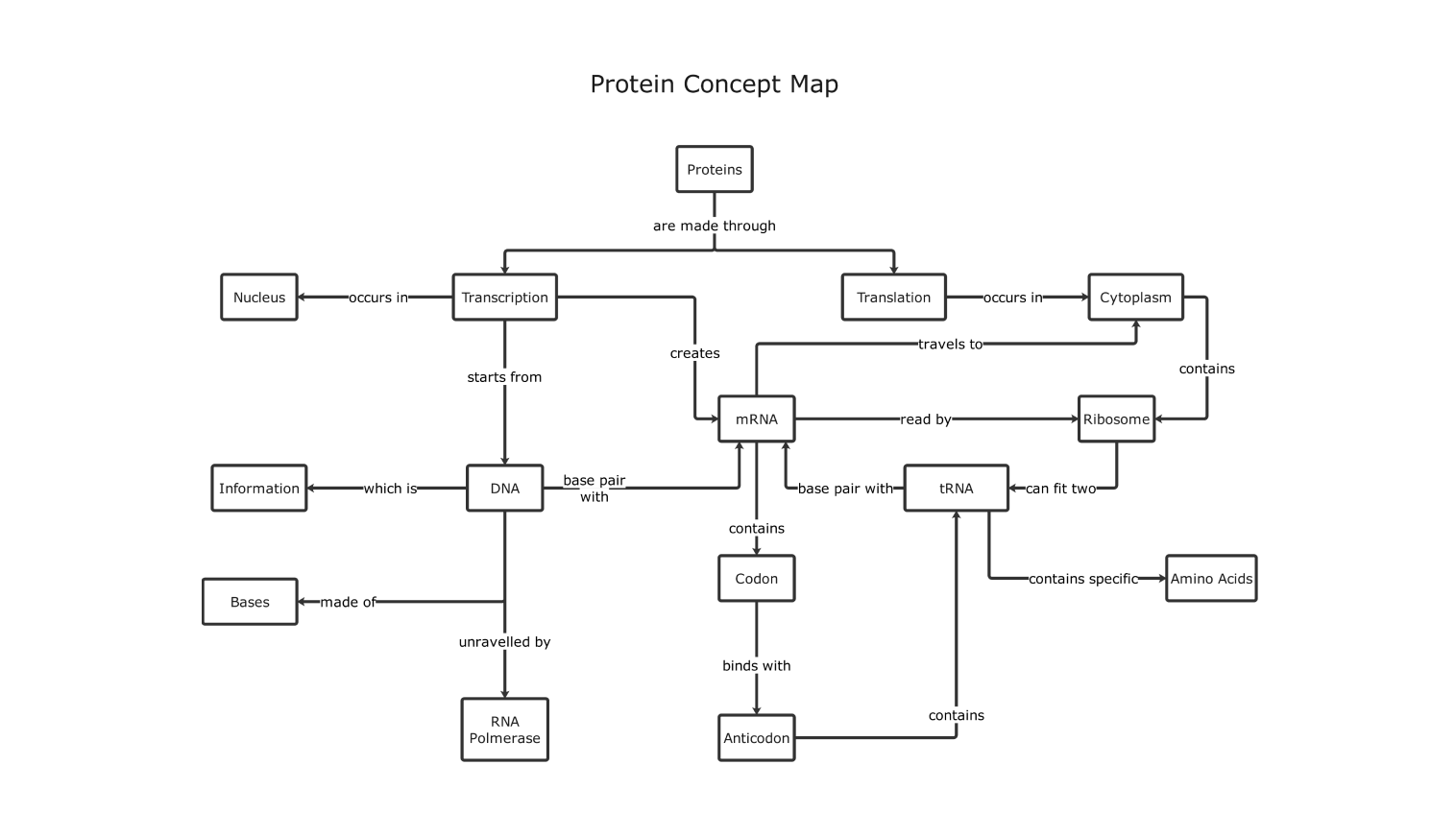 protein concept map example