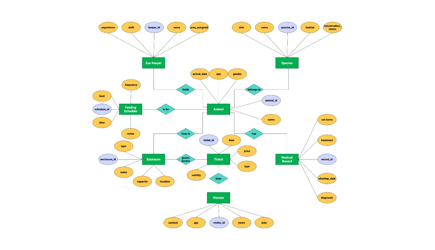 ER diagram for zoo management system
