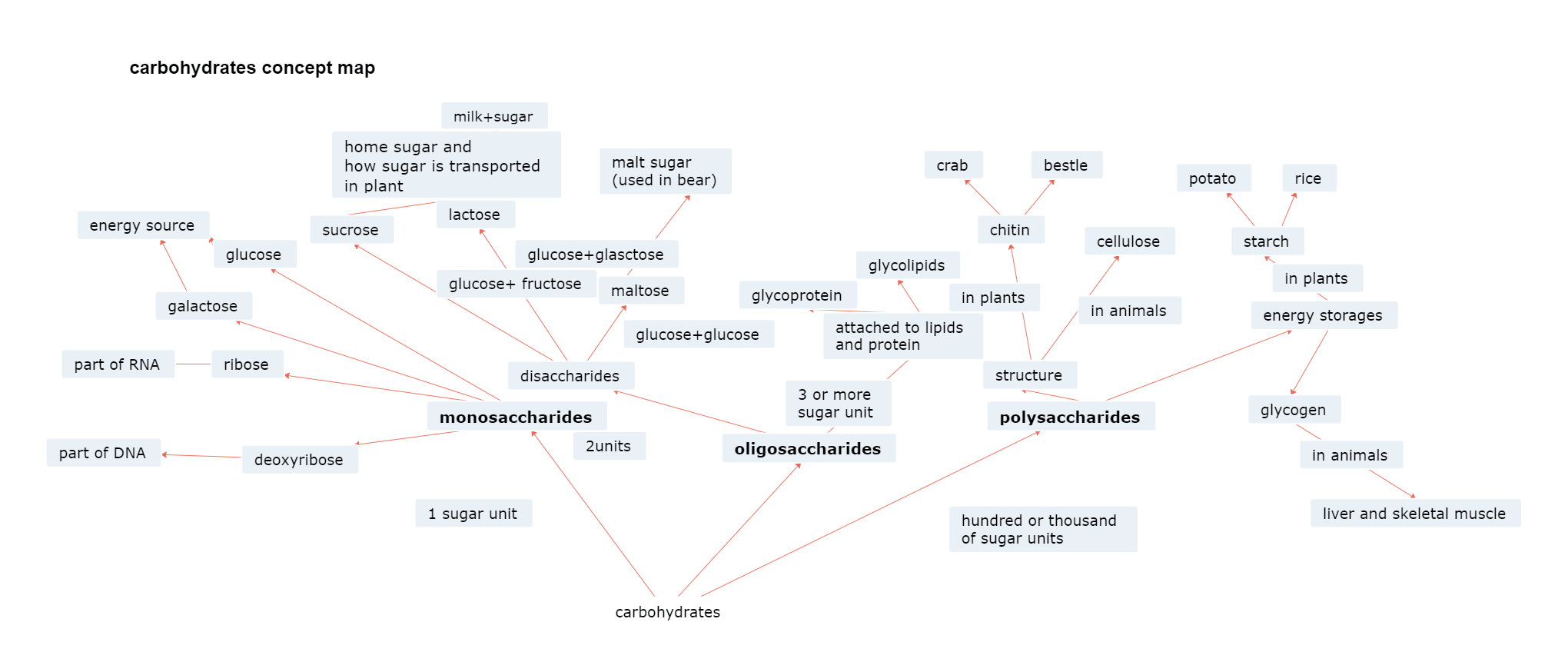 mapa-conceptual-de-los-carbohidratos