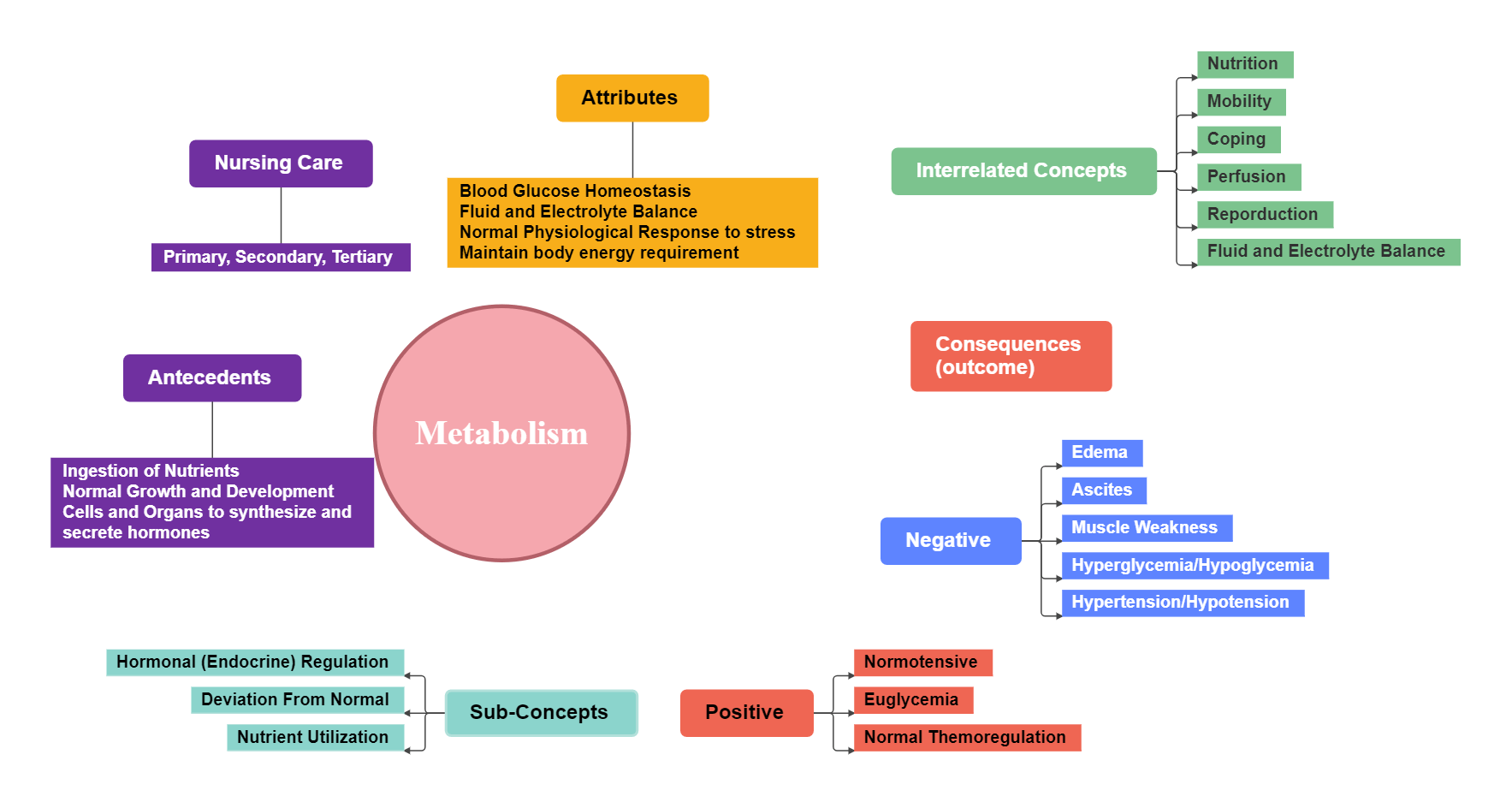 代謝のコンセプトマップ