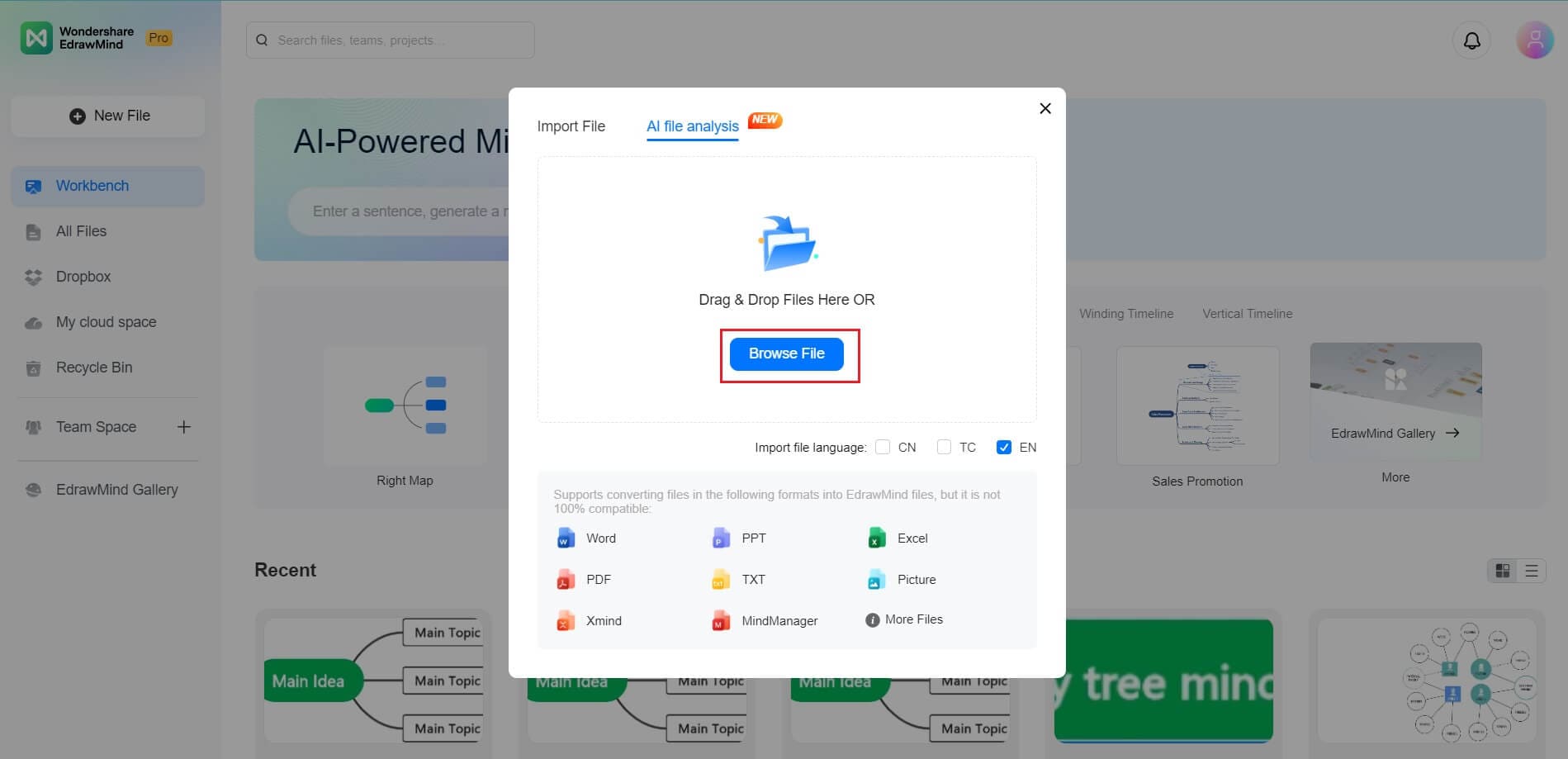 Browse the file for AI summarization