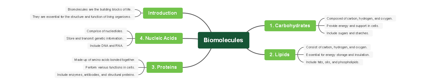 Reverse for Biomolecules Concept Map Template
