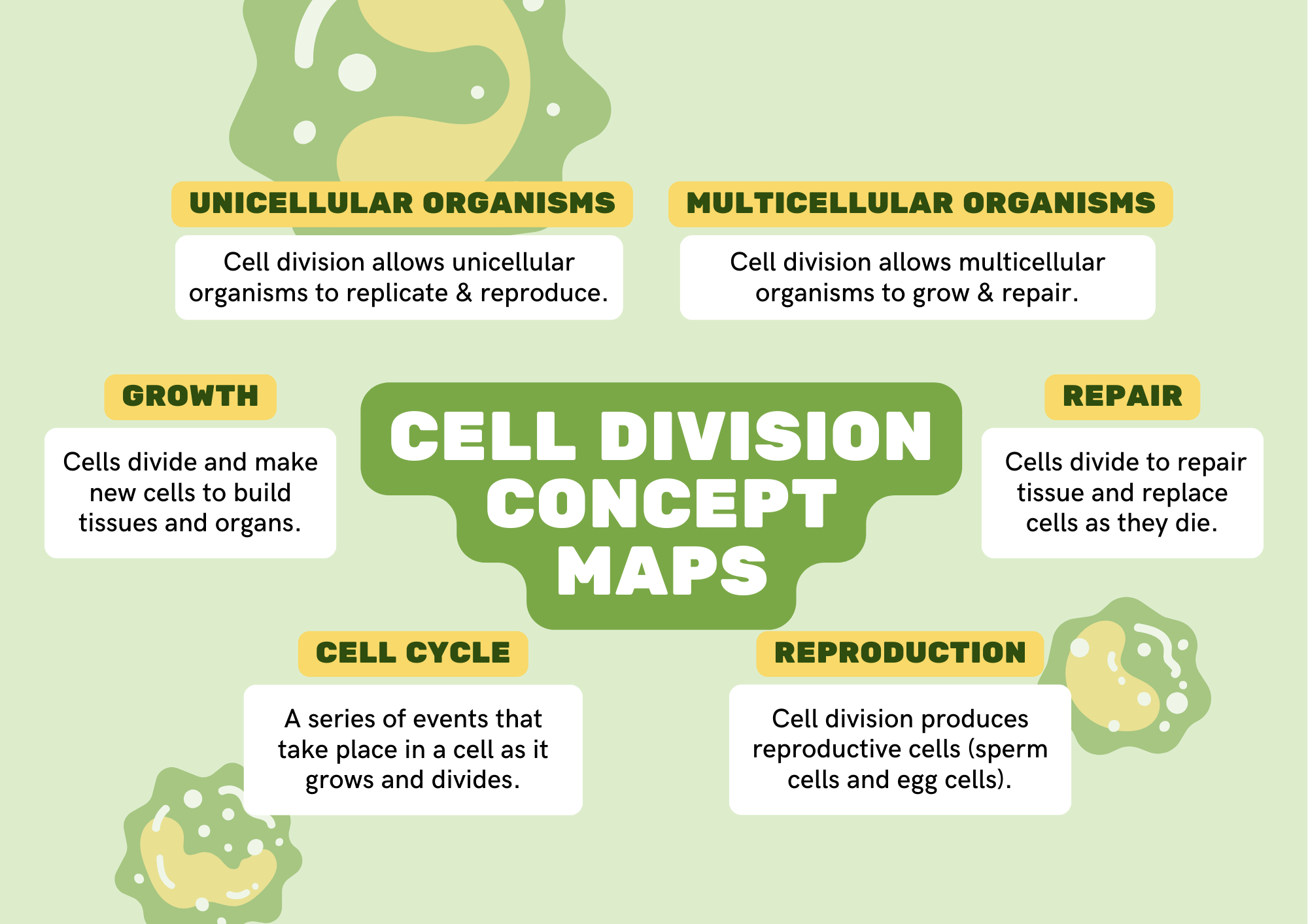 cell-reproduction-concept-map-answer-key