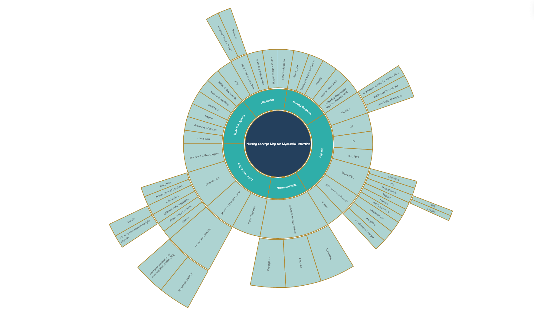  edrawmind- multi-purpose circular map template