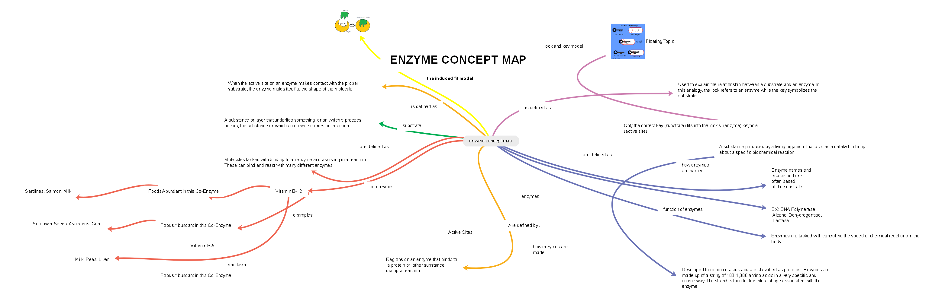 Mapa conceptual sobre enzimas