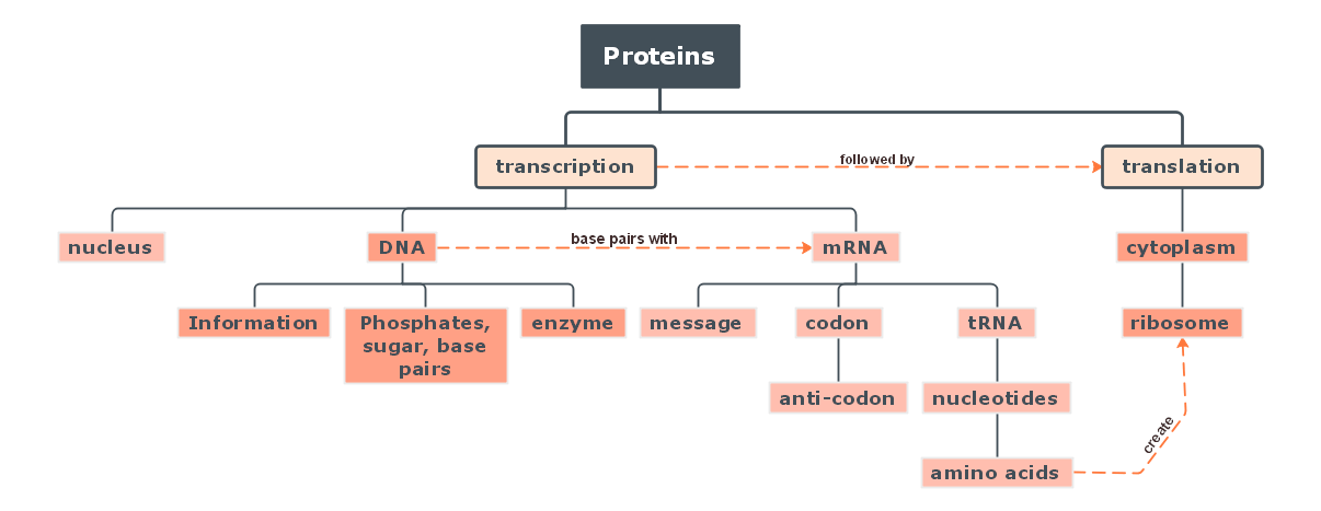 Mapa conceptual de las proteínas