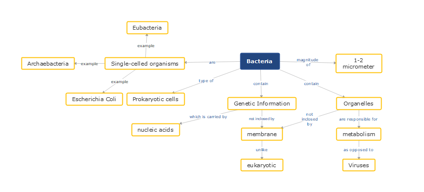 Mapa conceptual de las bacterias