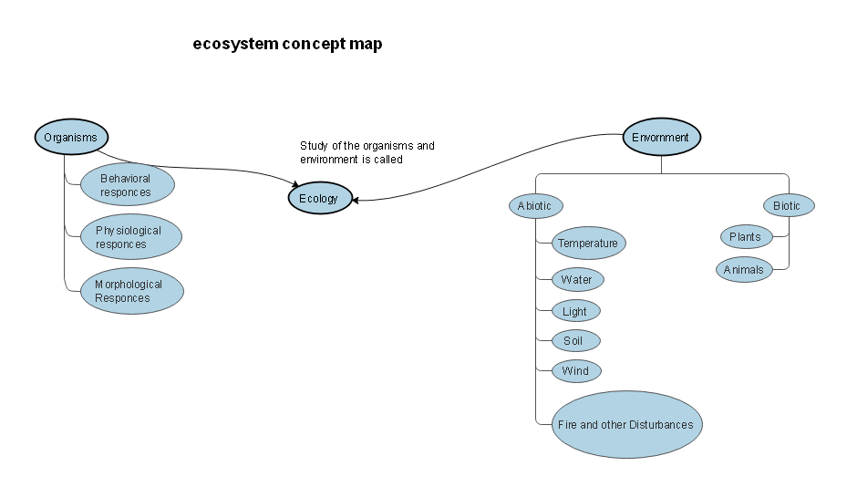 Mapa conceptual del ecosistema