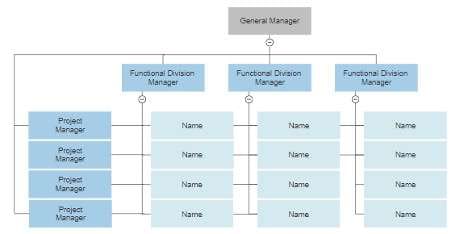matrix organizational chart