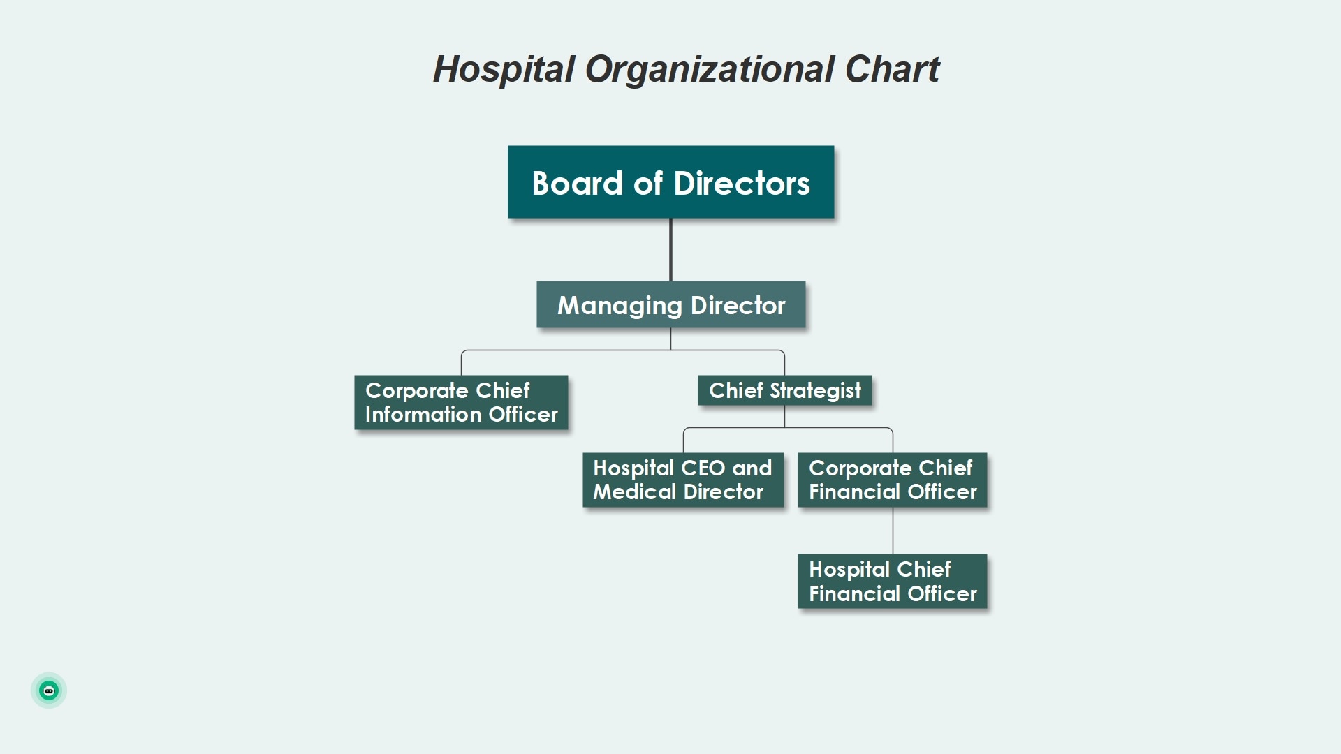 exemple de structure d'organigramme d'un hôpital