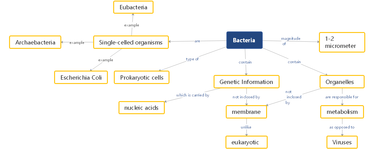 Pplantilla de mapa conceptual de bacterias