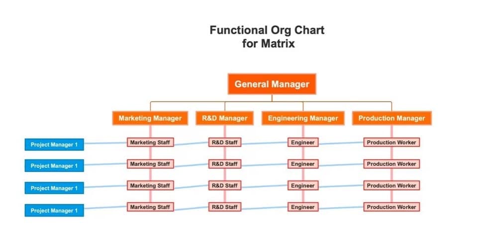 matrix org chart sample