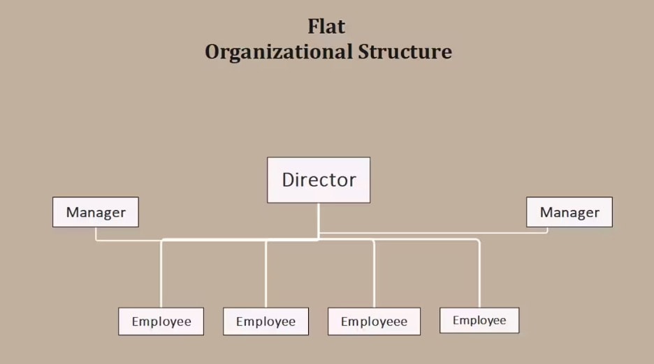 flat org chart sample