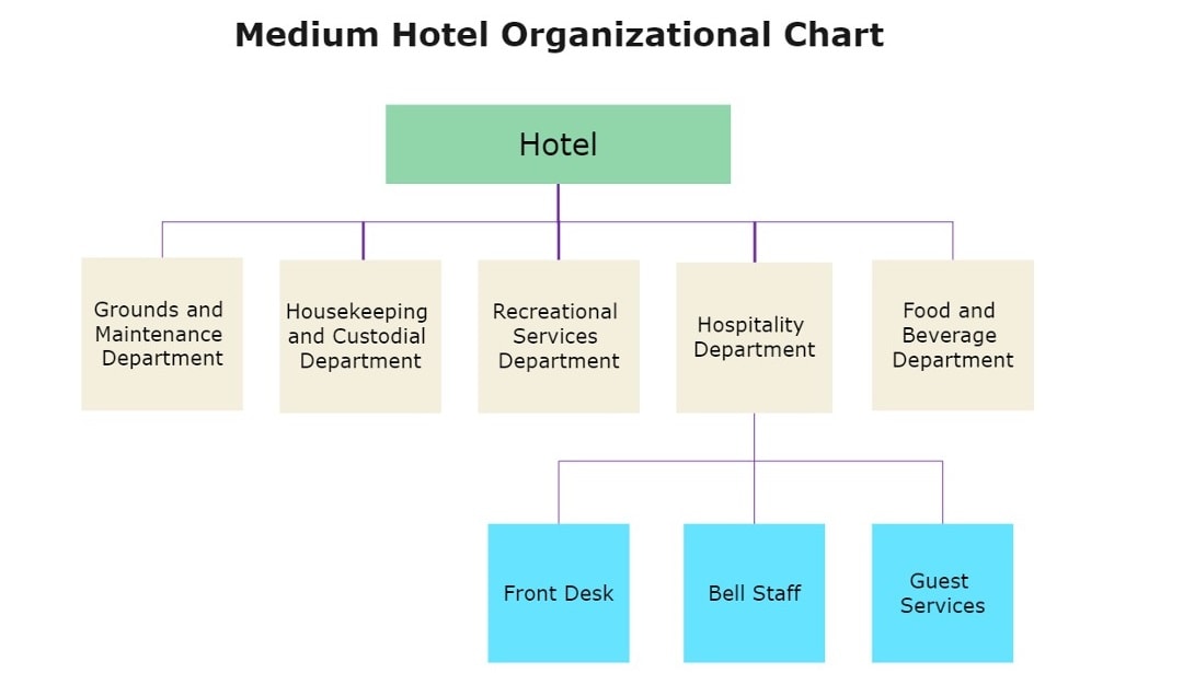 hotel company org chart