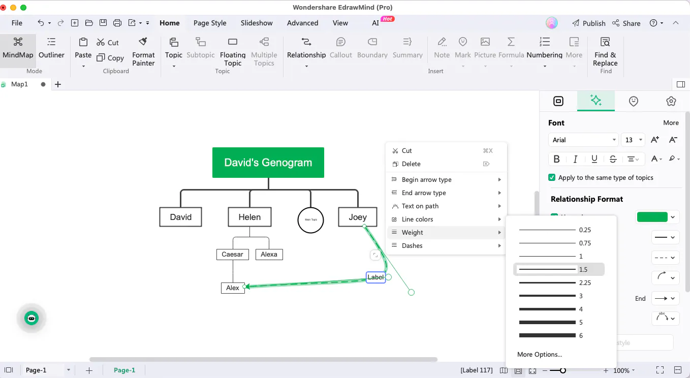 how to make a genogram