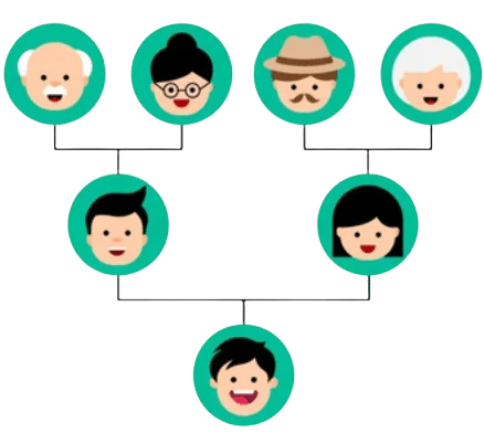 how to make a genogram