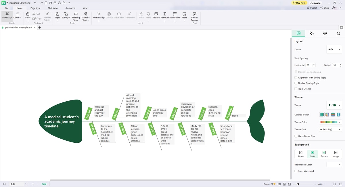 life timeline template