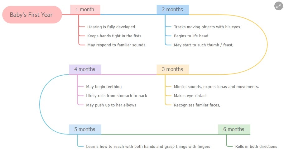 baby's first year timeline template