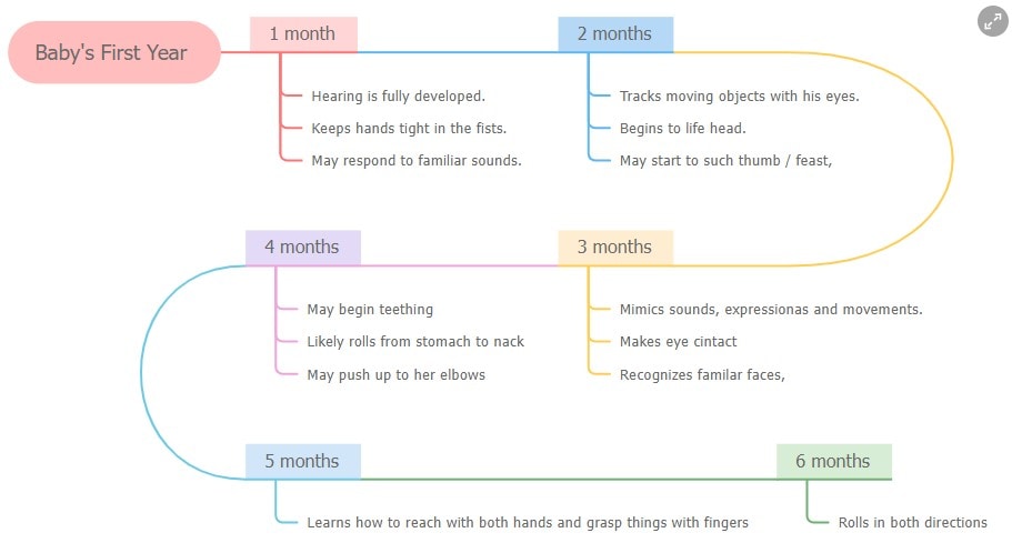 plantilla de cronograma del primer año del bebé