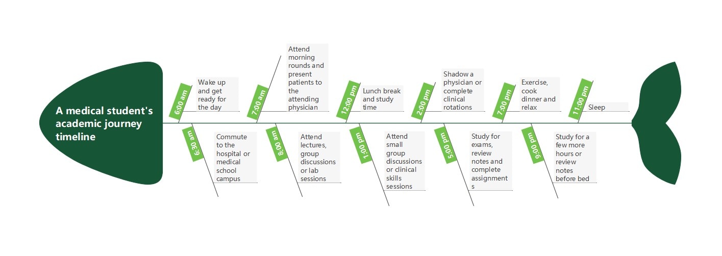 medical student timeline template